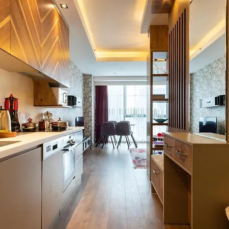 Apartment Delux Istanbul